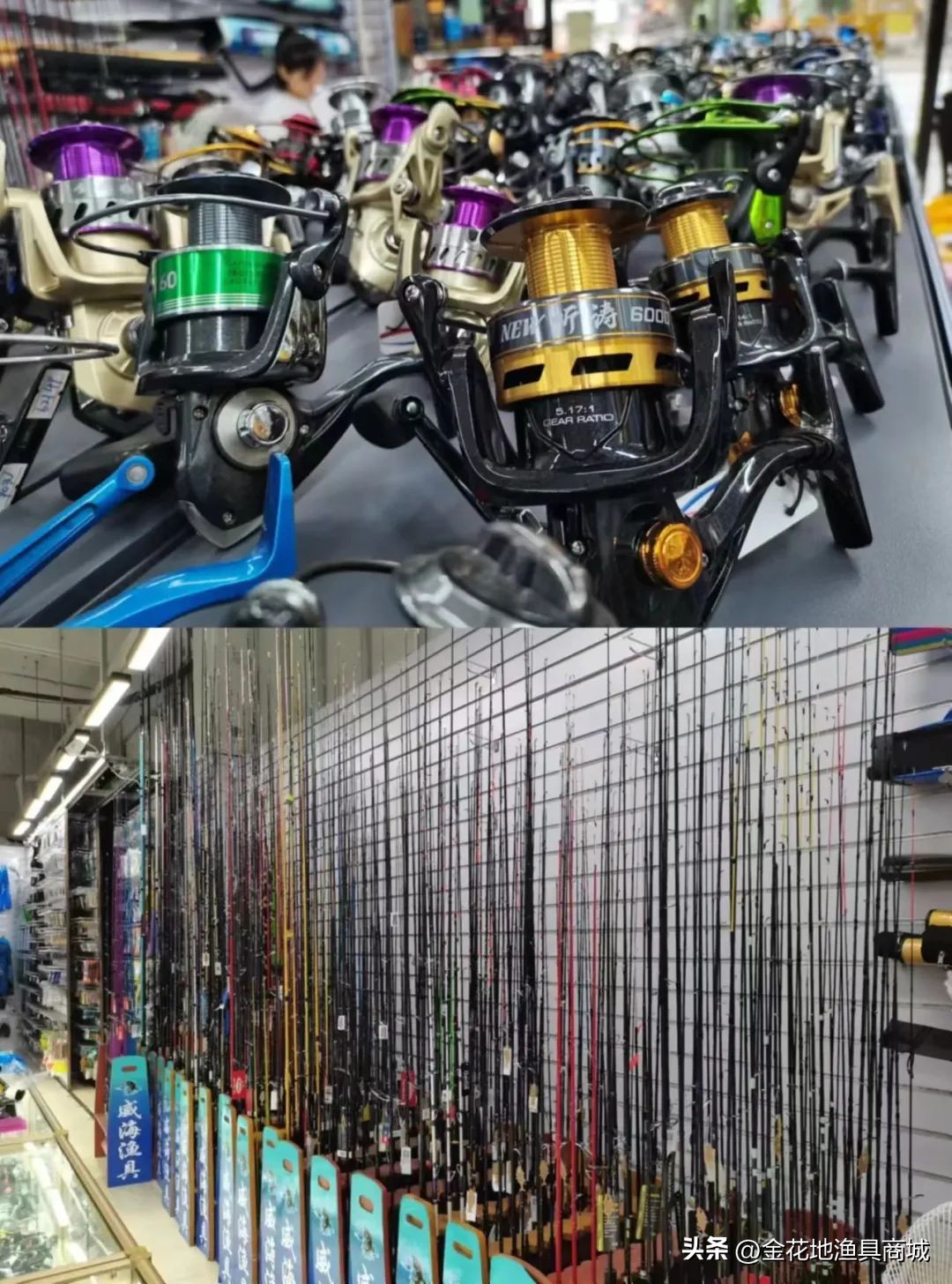 金花地渔具直播,金花地秋季渔具