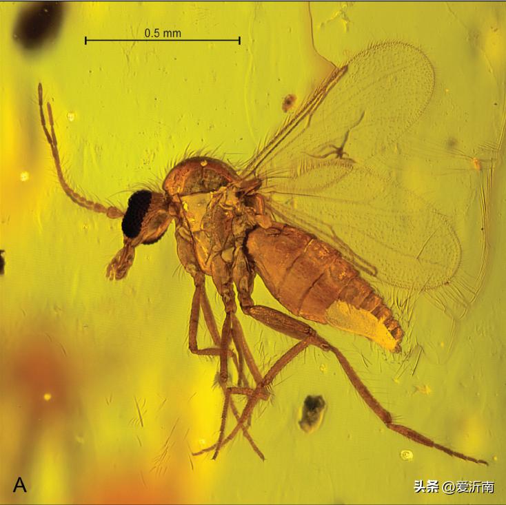 身上突然痒是蚊子吗,身上无缘无故的痒到处长蚊子大包