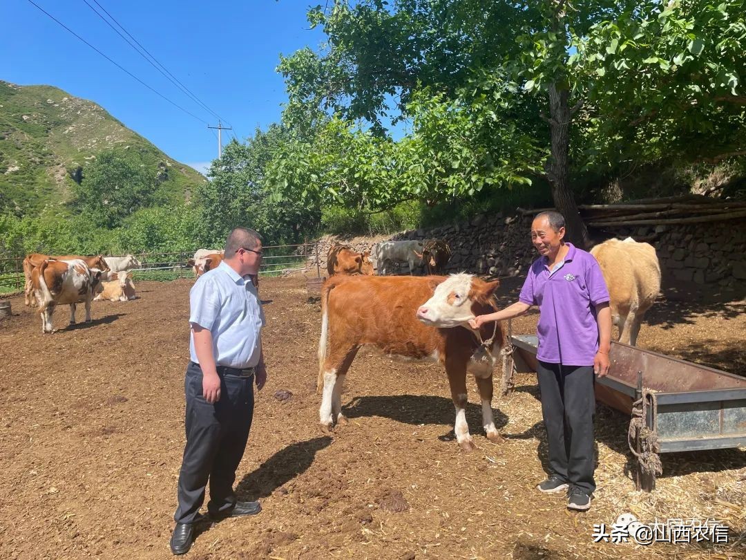 “阳光办贷”激发市场活力——最好的文案就是“大众点评”