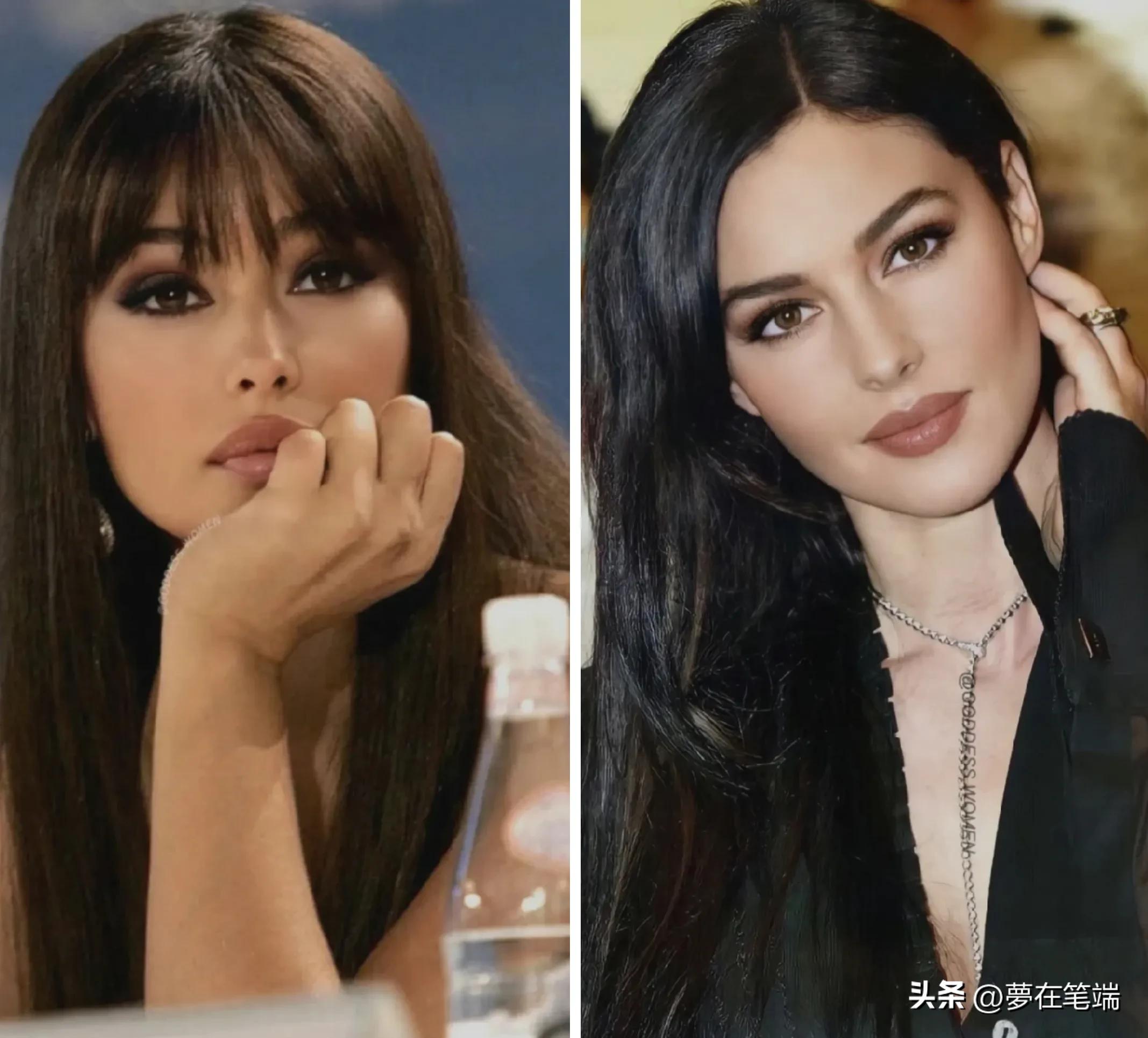 阿兰德龙和莫妮卡贝鲁奇广告,阿兰德龙和莫妮卡贝鲁奇什么关系