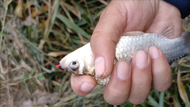 新手如何选择鱼竿才能保证不被坑,如何合理选择鱼竿