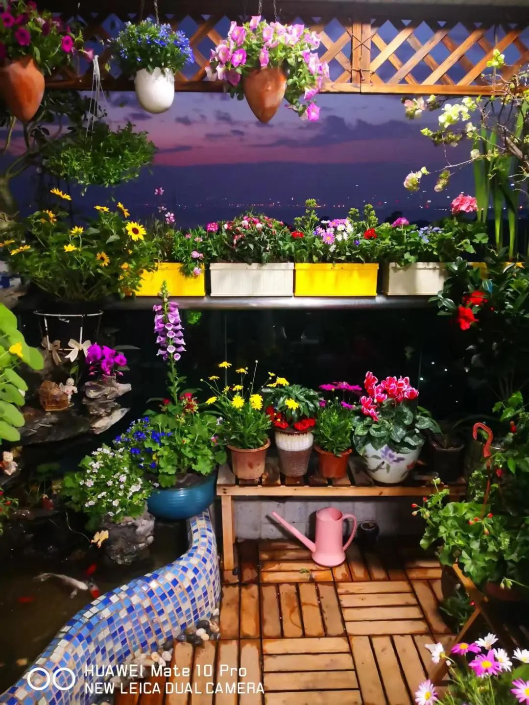 很多人羡慕的阳台,让别人羡慕的阳台