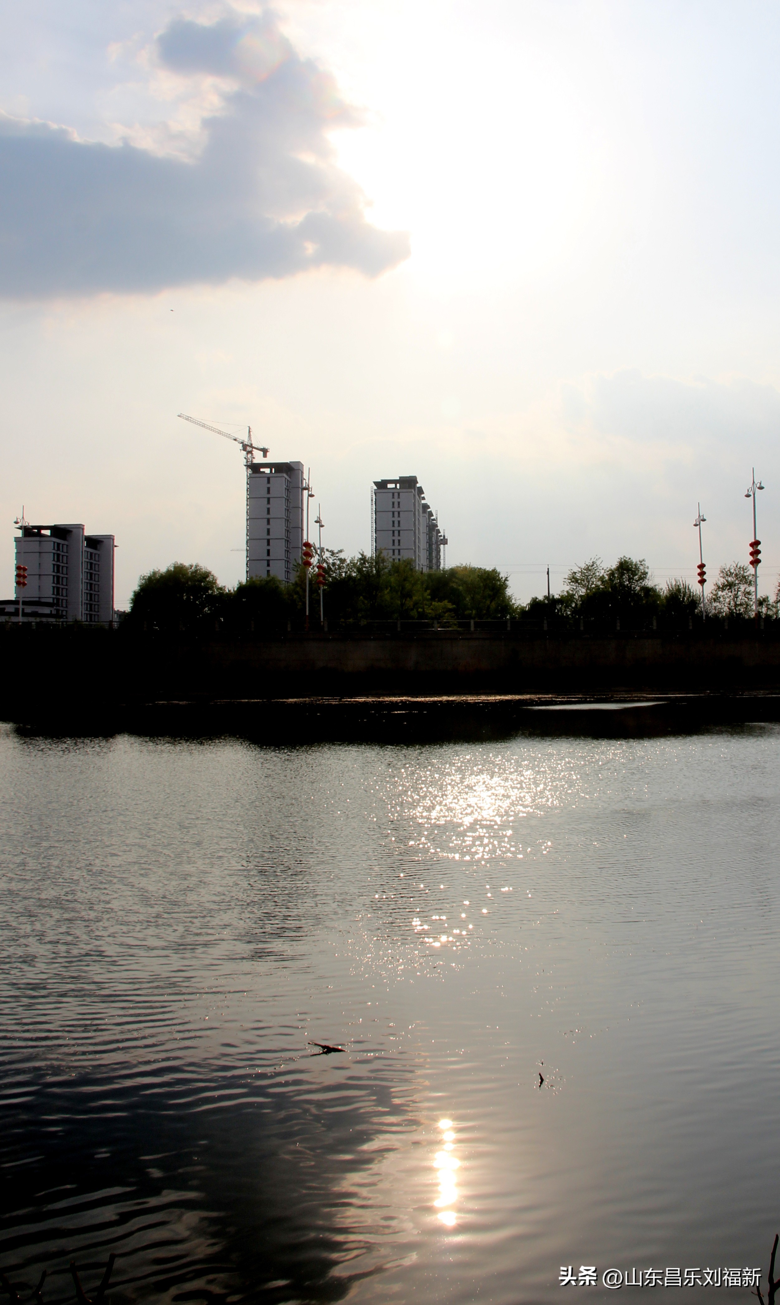 洋槐花·万马奔腾电器·鄌郚医院贴膏药
