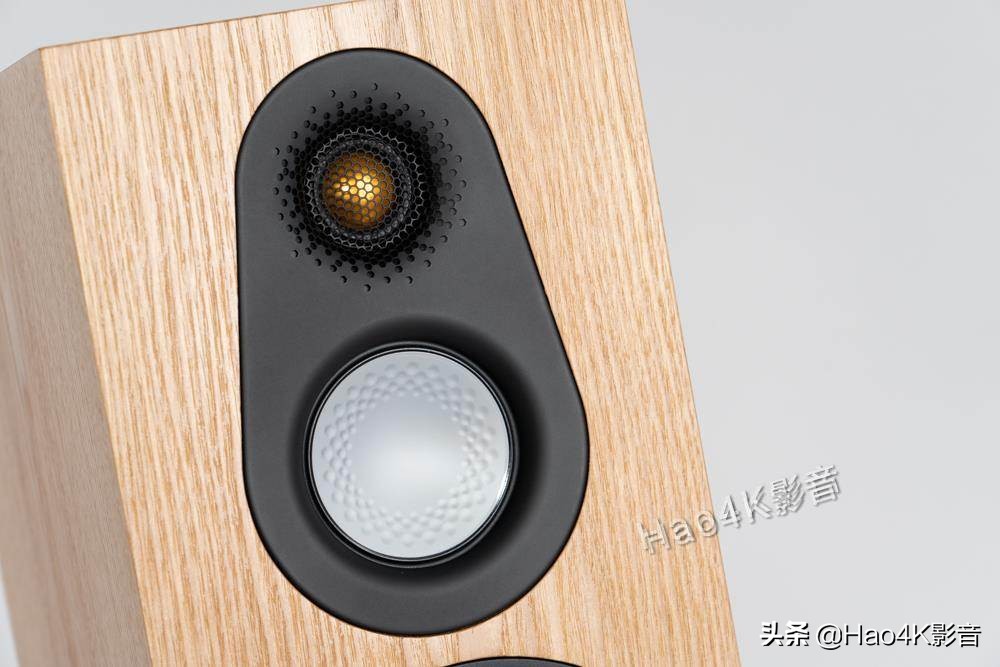 猛牌monitor300落地音箱,猛牌铂金300音箱怎样