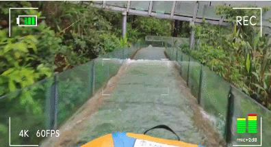 旅游年卡飞熊乐园,水上乐园年卡团购限几人