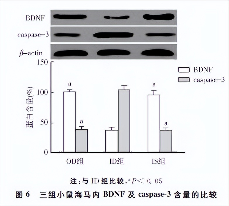 认知功能障碍研究进展,术后认知障碍与术后谵妄的区别
