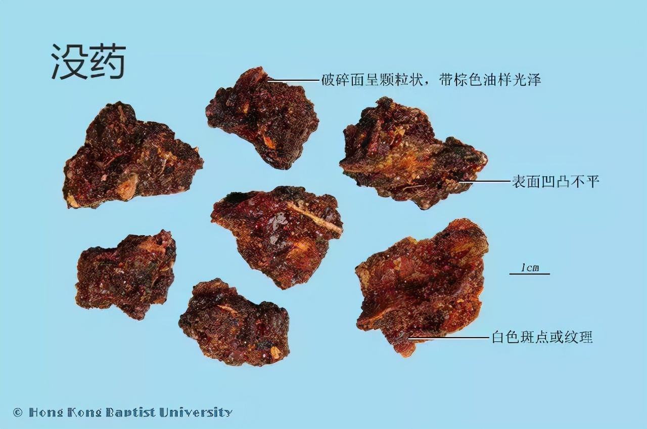 每天学习一味中药干姜,每天记一味中药
