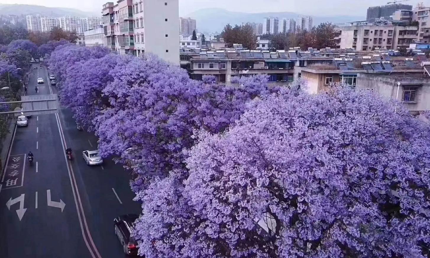 成都人的后花园：四季如春，被誉为“小三亚”，自驾6h直达