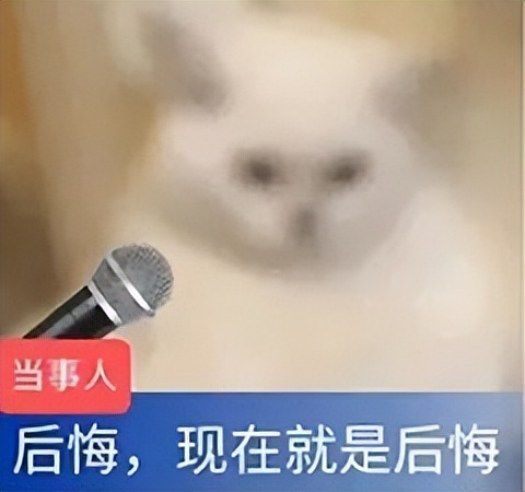 上闲鱼是消费降级吗,上闲鱼该注意啥