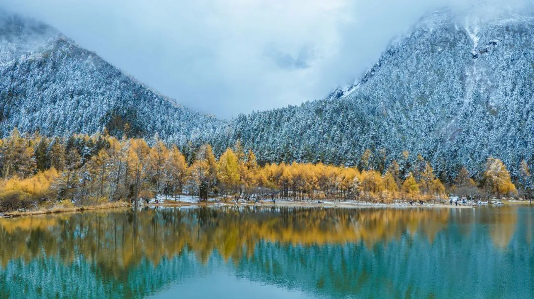 宸濊タ娴极鐨勫ぉ鑺辨澘,鏃嬭浆鏈ㄩ┈宸濊タ缇庢櫙