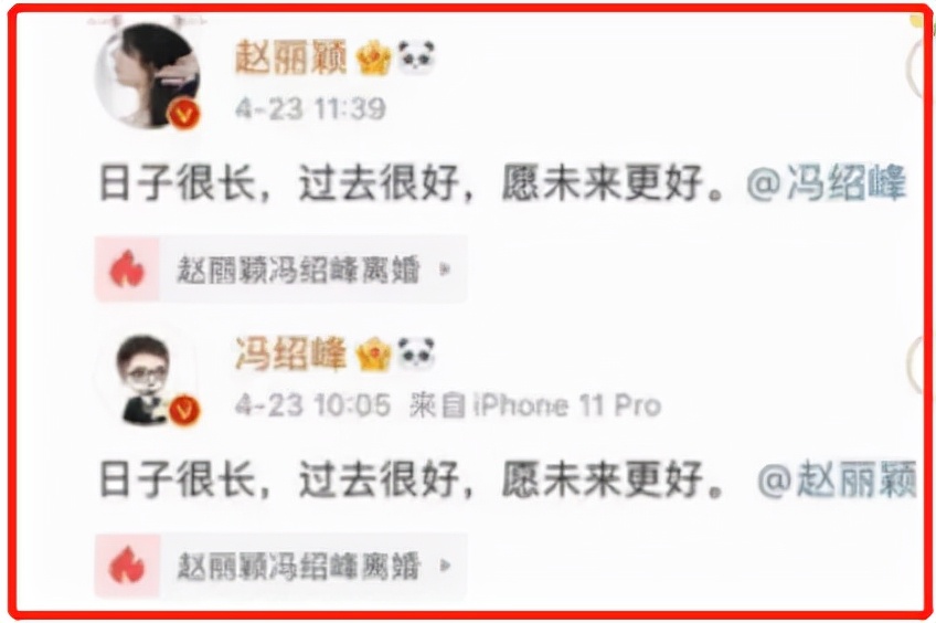 赵丽颖入股几家公司一年赚多少,赵丽颖拥有的公司都有哪些