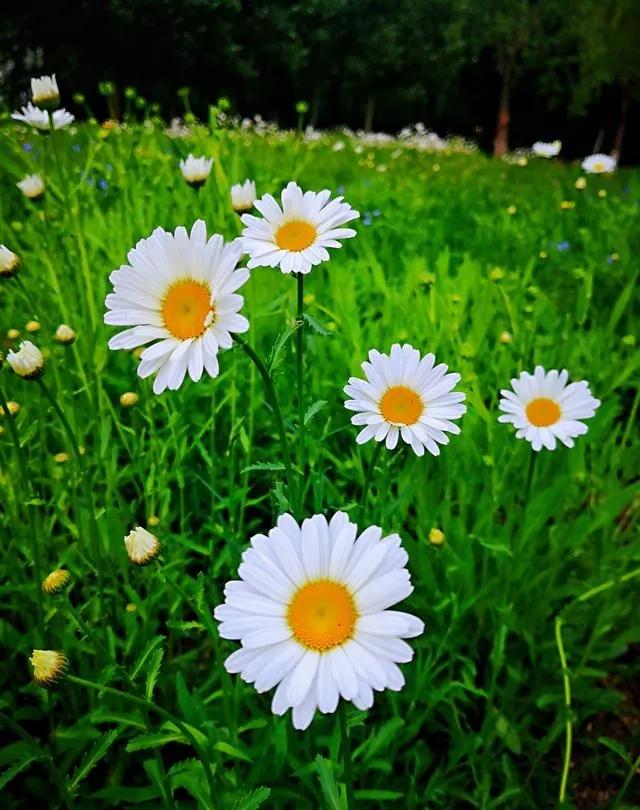 学习认知,认知觉醒总结及感悟