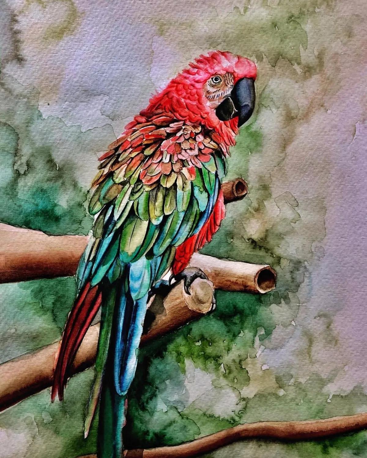 意大利画家水彩画,德国水彩画师作品欣赏