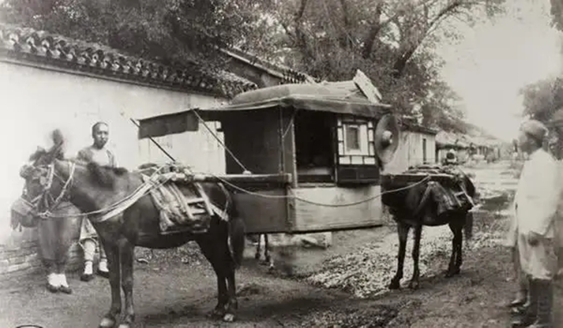 汉奸张本政怎么被抓的,张本政得到哪个天皇接见