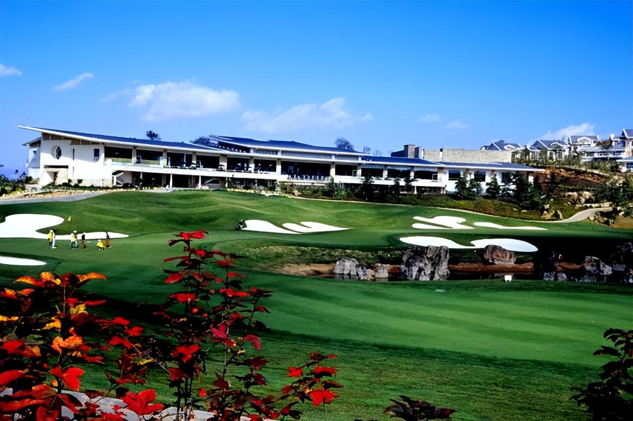 人工球场和天然球场,环境最好的野球场