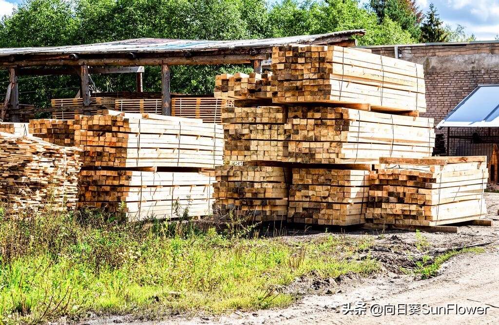 涓浗浜哄湪淇勭綏鏂仛鐢熸剰鐪熷疄缁忓巻,淇勫浗椋庢儏