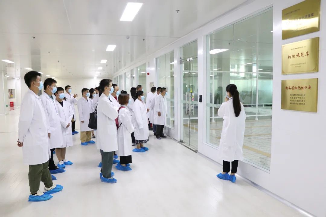 湖南省细胞组织库电话,湖南省细胞组织库醴陵服务中心