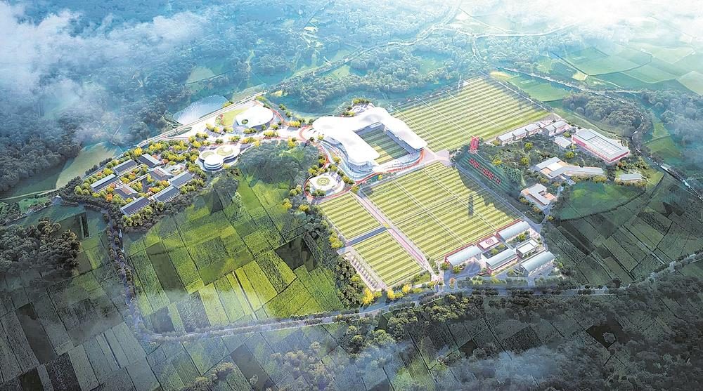 成都正在兴建的专业足球场,四川天然草坪足球场规划