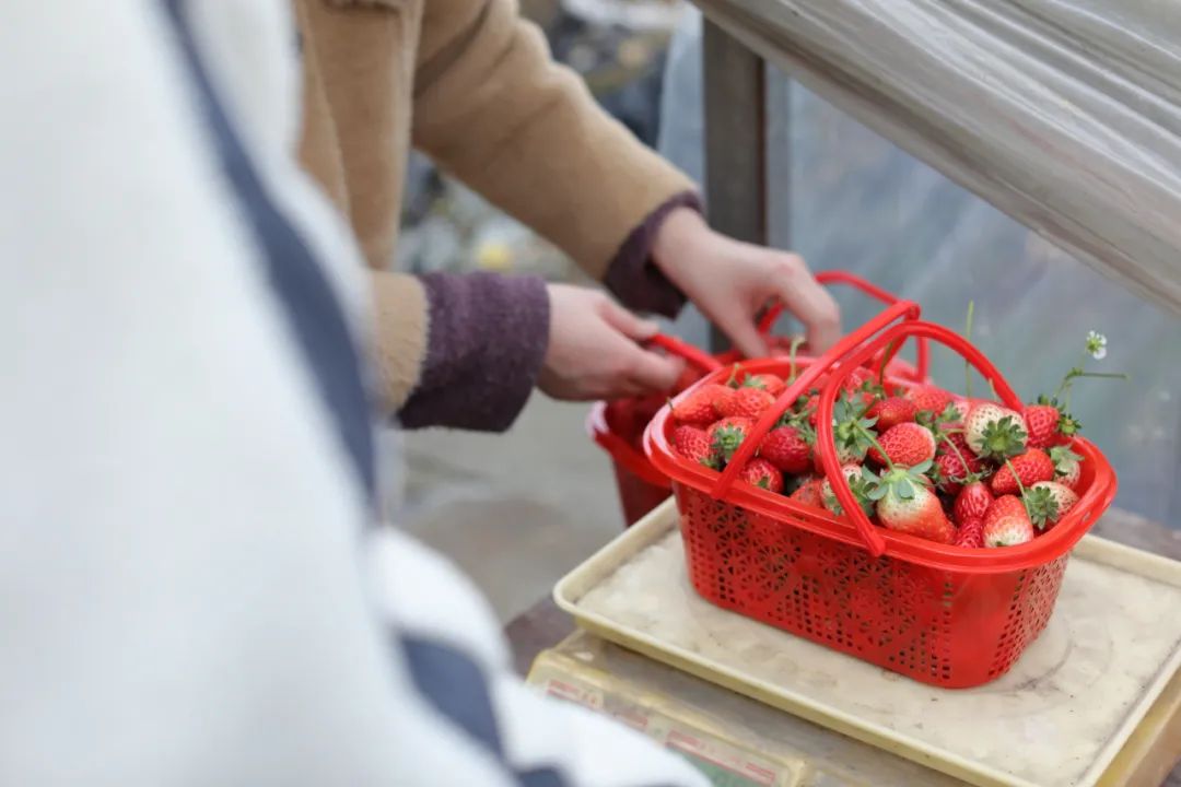 绍兴同城交友活动,绍兴单身交友活动