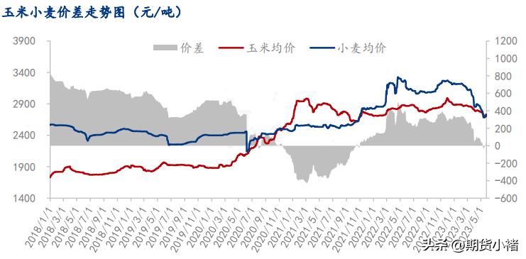 玉米市场本周行情及后市分析,本周玉米市场行情震荡调整分析