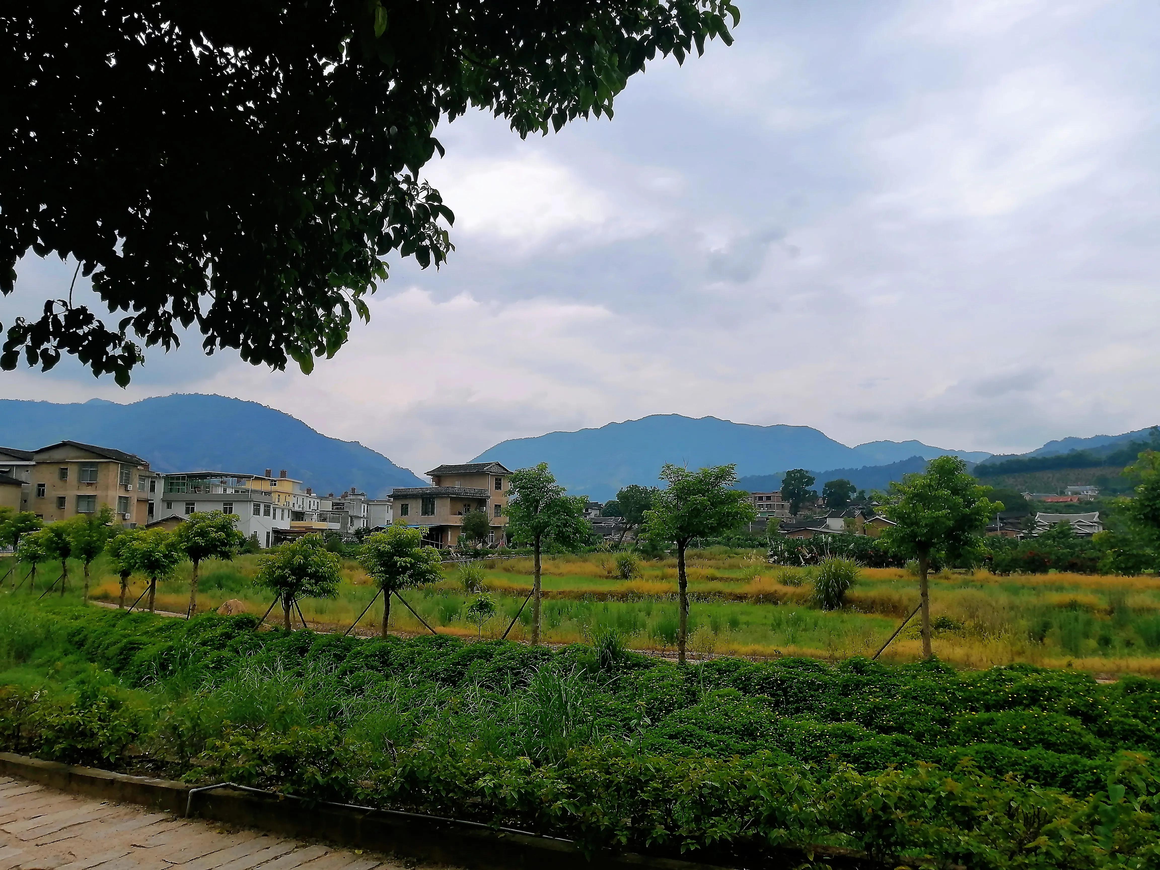 短篇小说风筝视频,短篇小说一只风筝