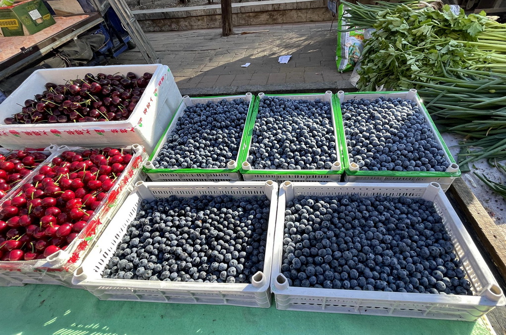 带大家看看东北早市物价多便宜,看东北早市物价冬天囤菜