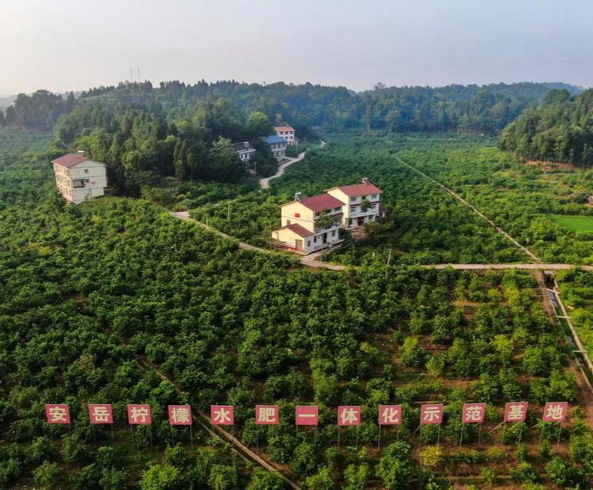 四川柠檬之乡安岳是哪个市,安岳成渝之心