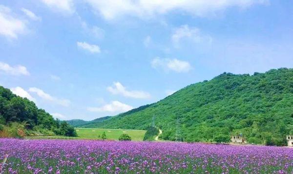 芜湖最美民宿,芜湖旅游民宿推荐