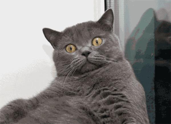 啤酒瓶做帝王绿翡翠,高人拿啤酒瓶做翡翠