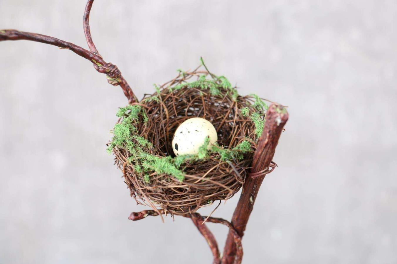 喜鹊窝防雨,喜鹊窝楼顶