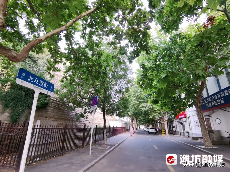 气温平均低5℃！“户外空调”真给力