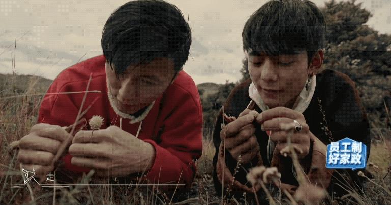 锋菲20年前,锋菲重逢