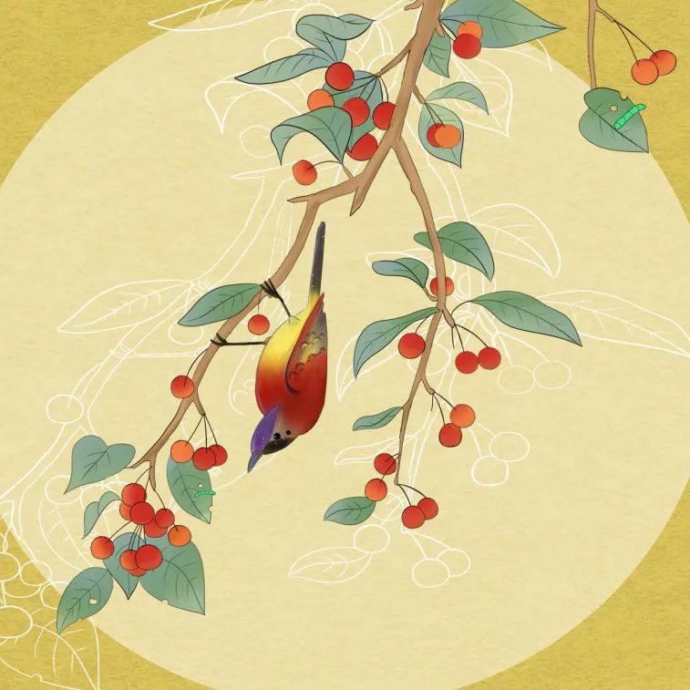 比古诗还美的词牌名,比诗更美的冷门词牌