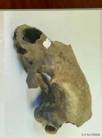 《寻味顺德》校本课程第二课