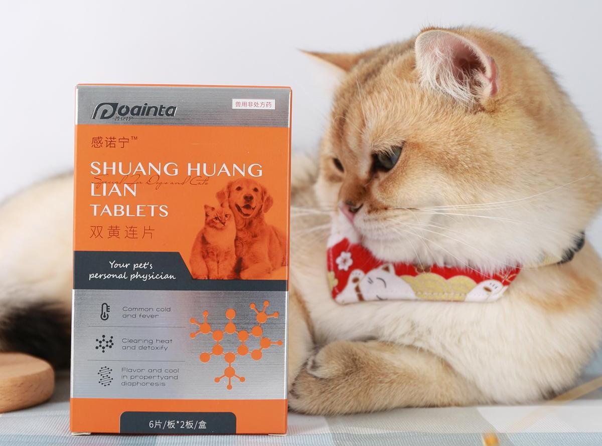 猫咪发烧如何物理降温,猫咪发烧降温的方法