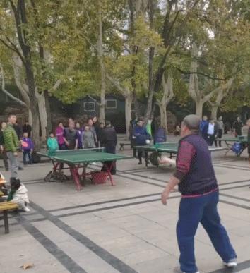 乒乓球球台,乒乓球台不好抽不上台