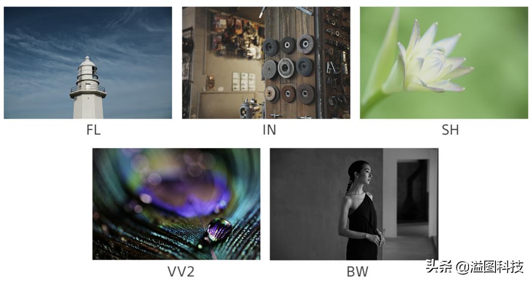 索尼a7m4fe24-105f4镜头价格,索尼a7m4和a7r4a哪个更适合拍照