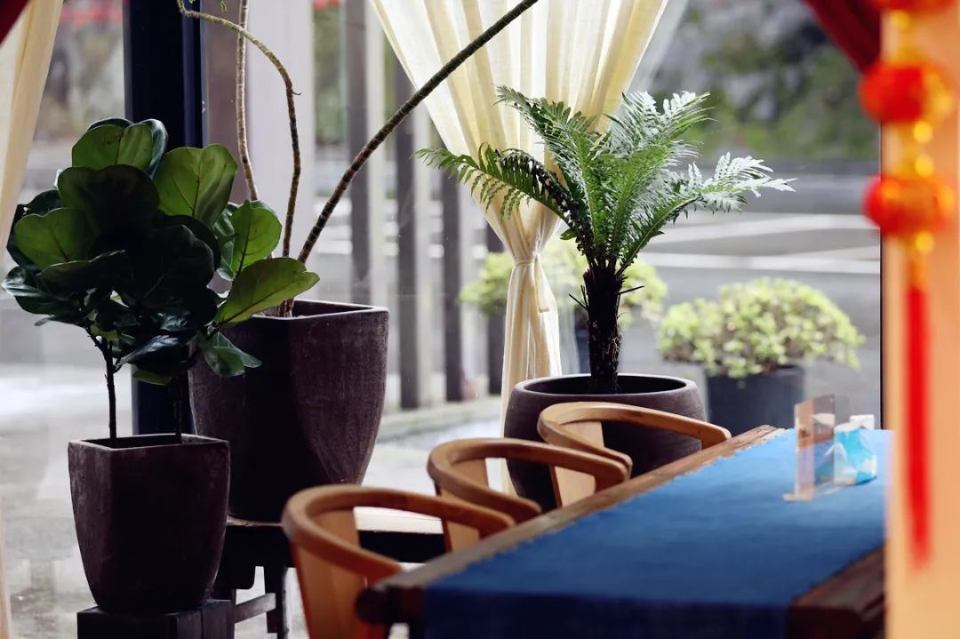 遂昌吃喝玩乐的地方,遂昌千佛山旅游度假