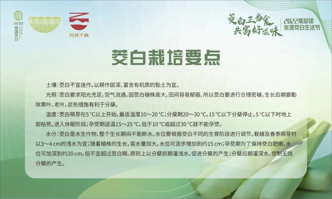 这个周六，瓶窑张堰千“茭”百态初夏游，约不？