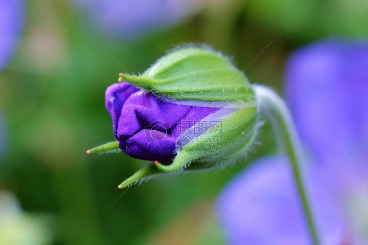 时光荏苒岁月如梭莫要蹉跎岁月,时光荏苒岁月如梭的唯美句子