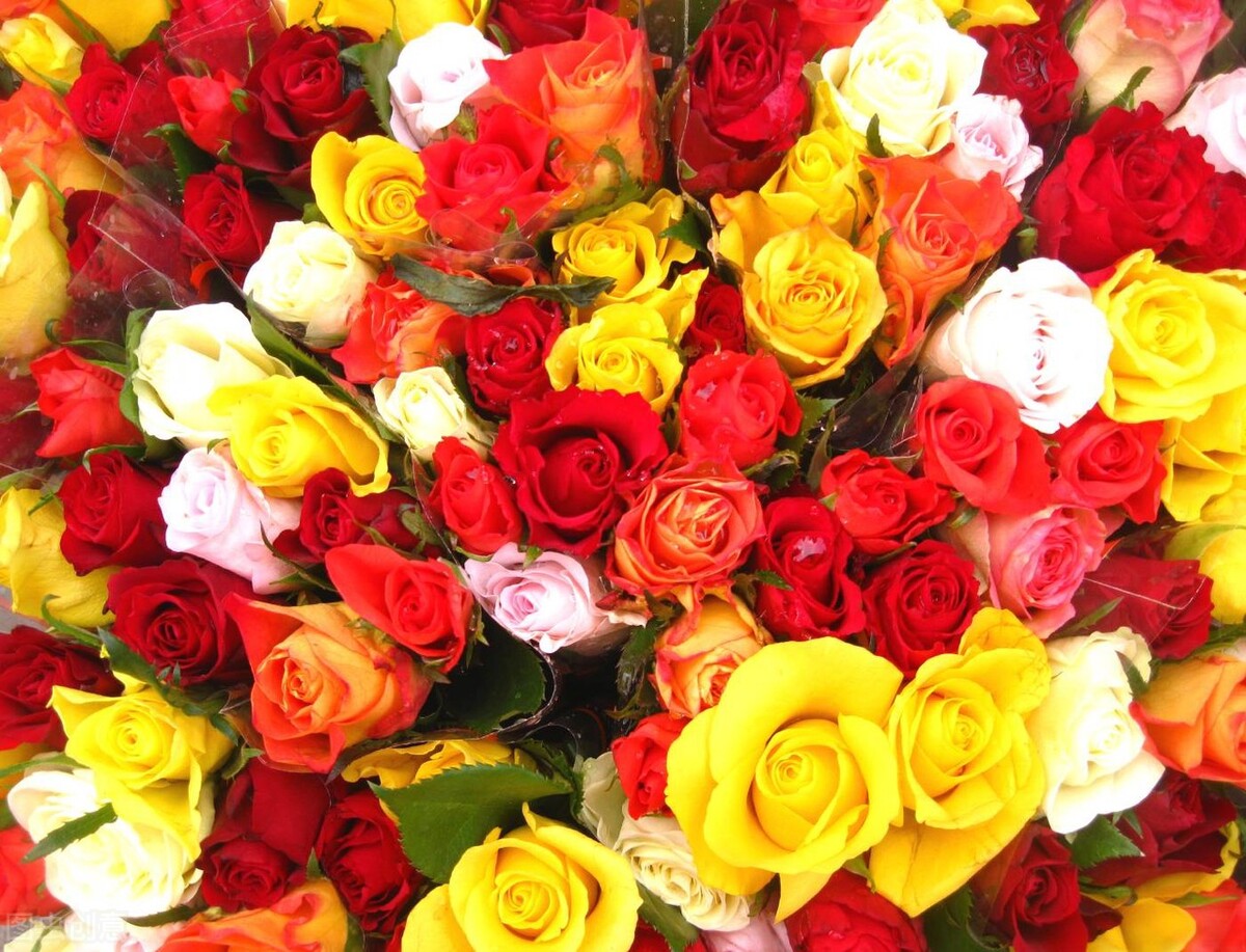 爱意荒凉完结,爱意荒芜小说