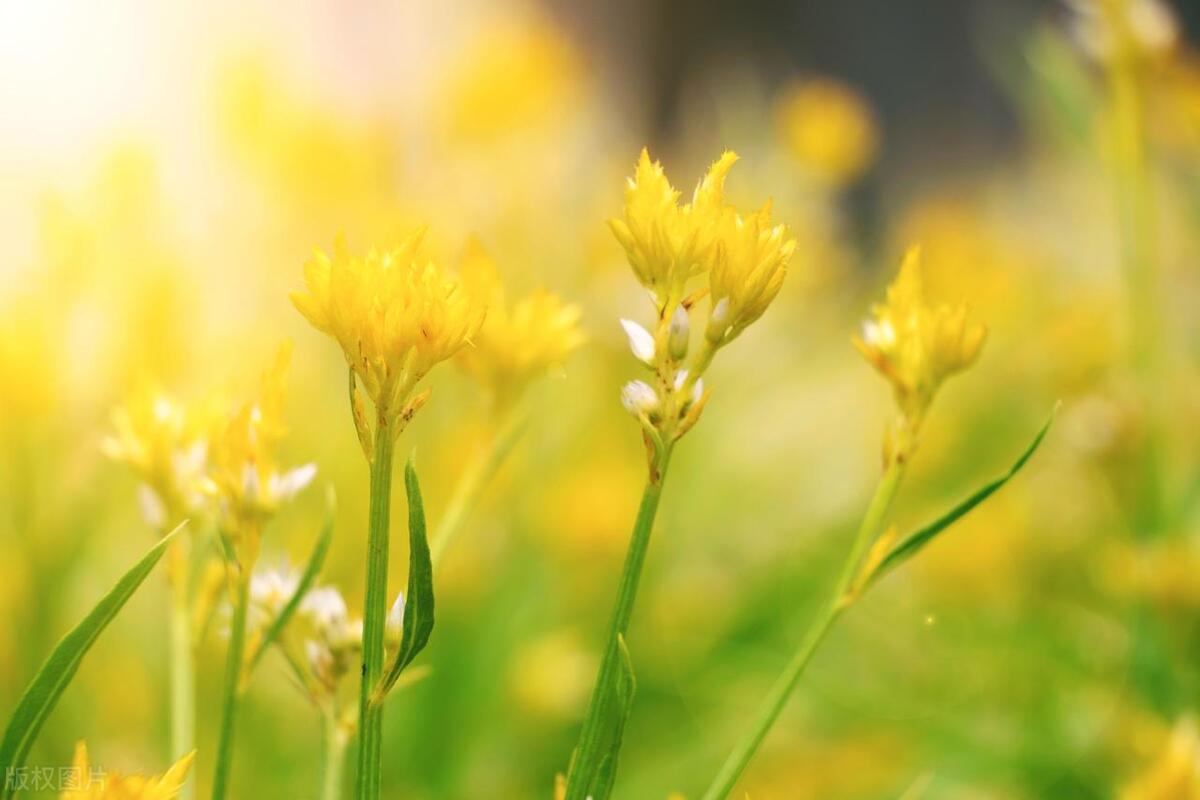 进化论错误怎么回事,进化论真的是错的吗