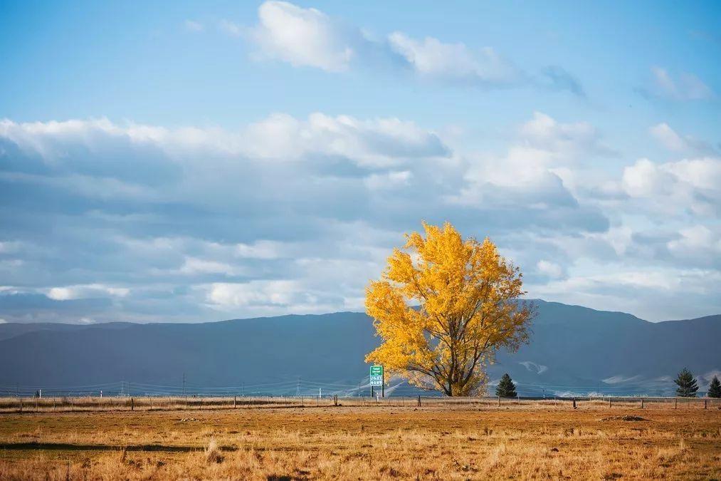 申请移民要去找哪个部门,怎样申请职业移民