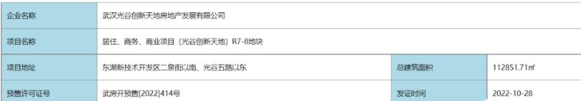 2015年武昌豪宅,武汉武昌豪宅天花板