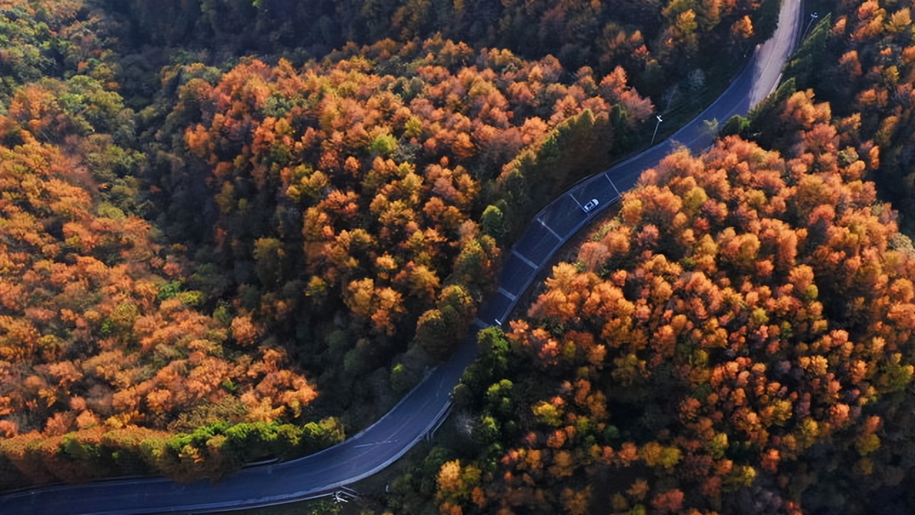 湖北宝藏旅游景点,湖北的宝藏旅行地恩施