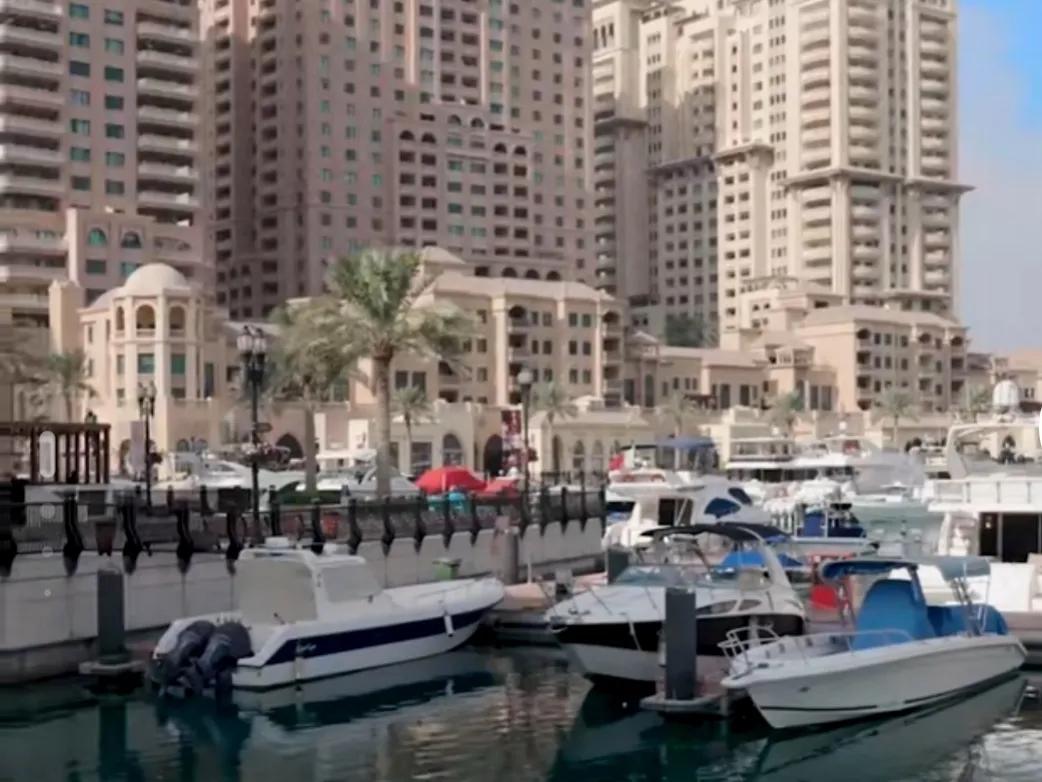 壕无人性的壕,壕无人性的卡塔尔