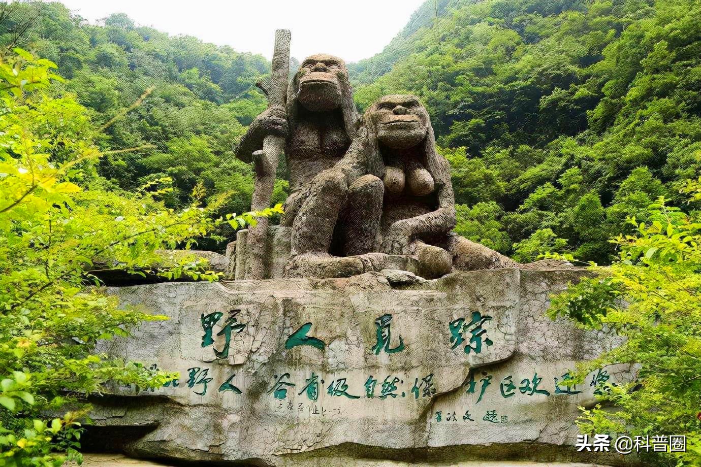 神农架深处为何被列为禁区进不去,神农架深处为何被列为禁区知乎