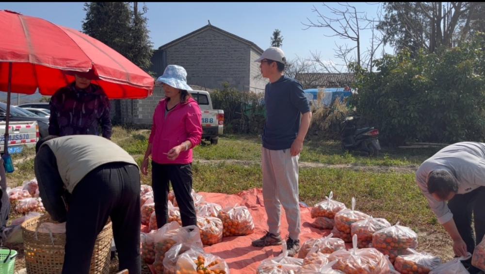 辛巴助农直播未来可期，腾冲市荷花镇：“爱心助农”巾帼有实招