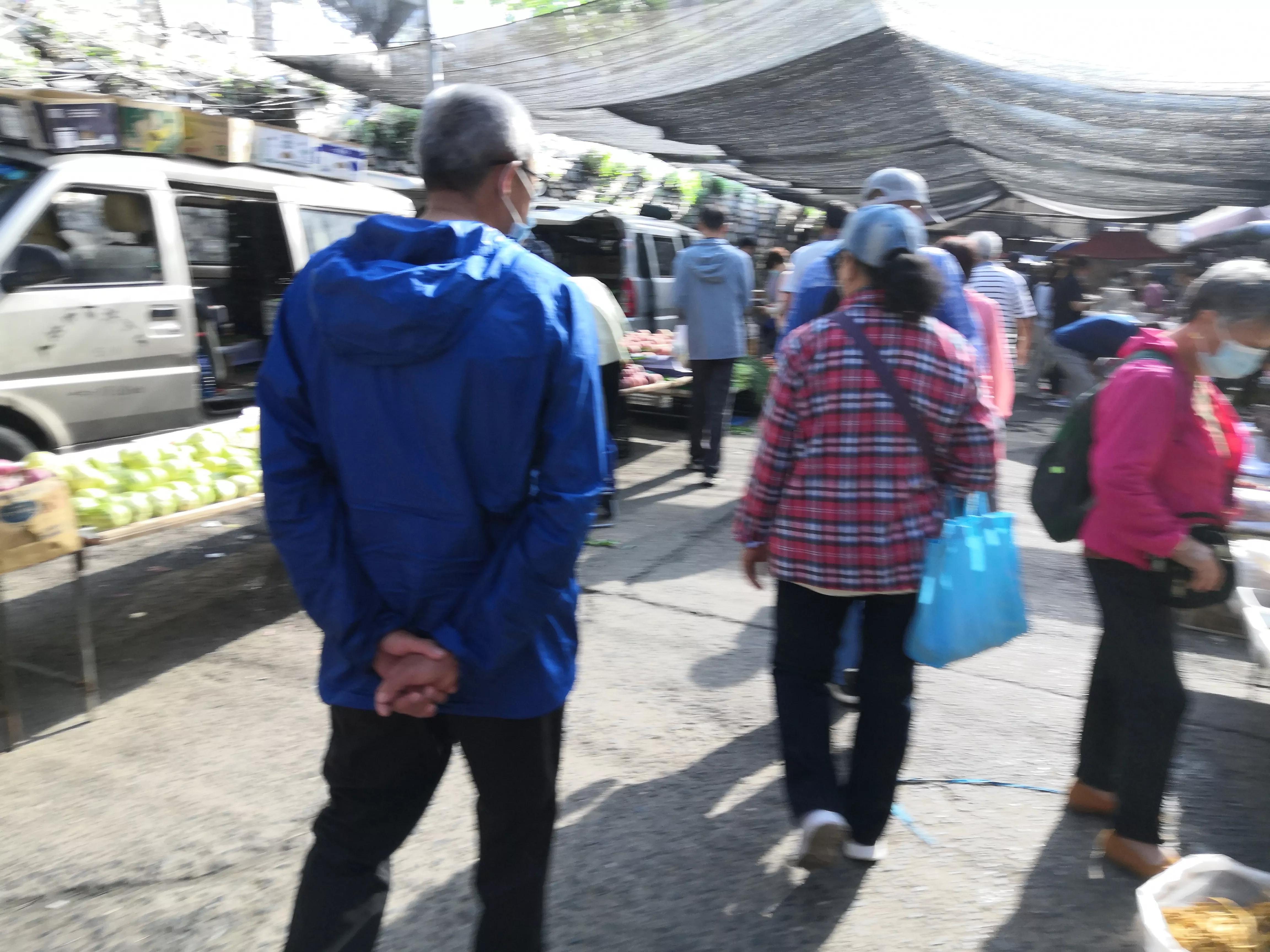 夜来风雨声花落知多少搞笑改编,夜来风雨声花落知多少的赏析