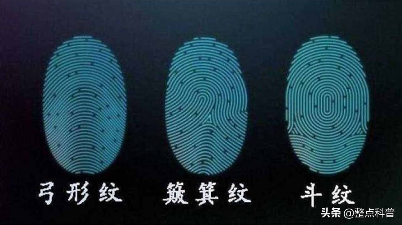 斗和簸箕的基因秘密,中科院发现斗与簸箕的奥秘